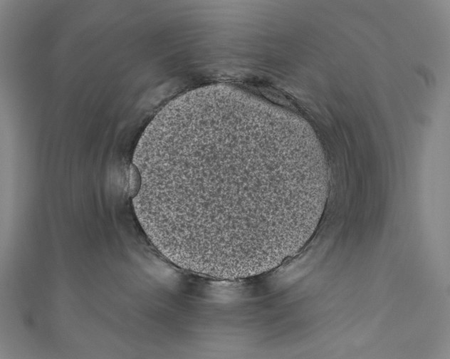 X0000110940240200907101253