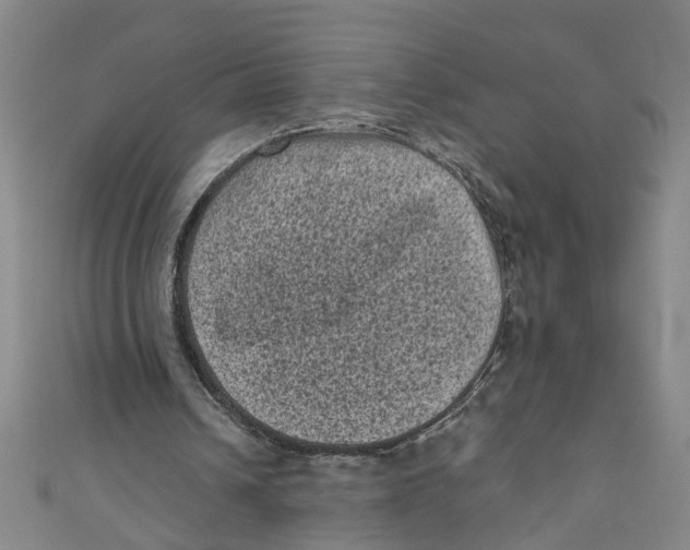 X0000110940242200907101252
