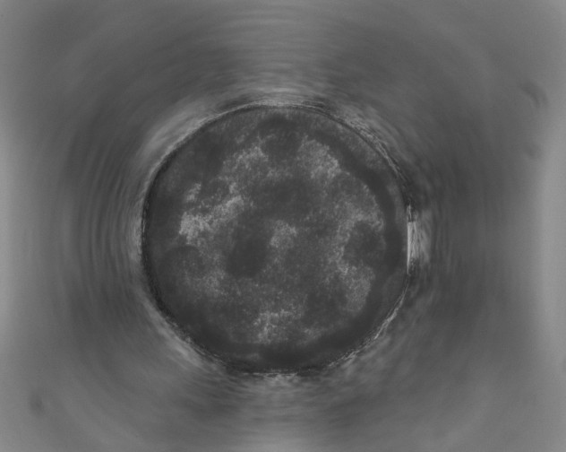X0000110940243200907101252