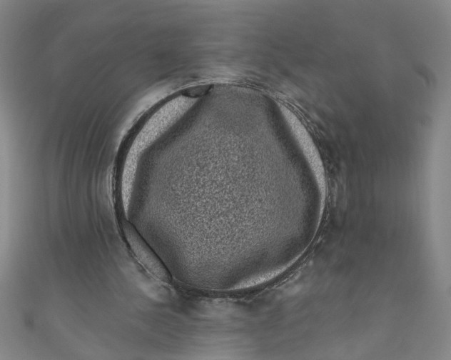 X0000110940244200907101252