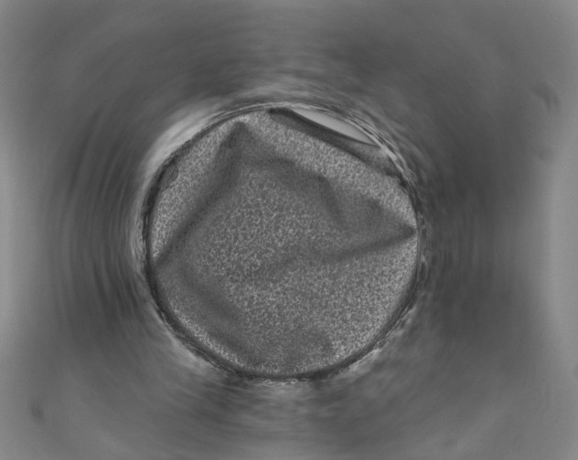 X0000110940245200907101252