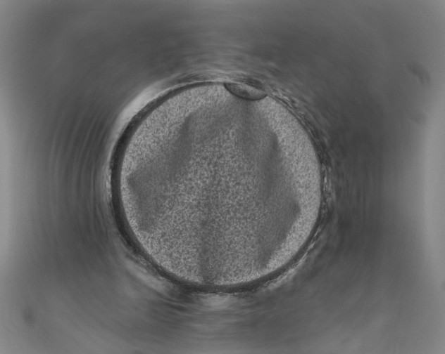 X0000110940246200907101252