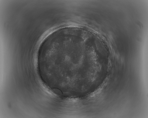 X0000110940247200907101252