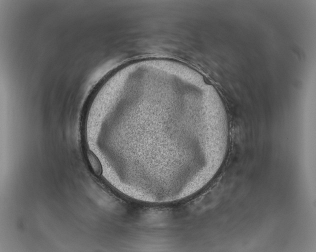 X0000110940248200907101252