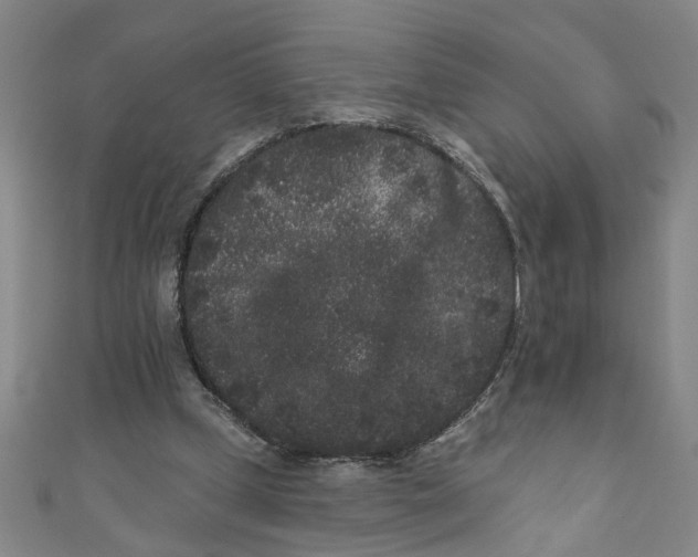 X0000110940249200907101252