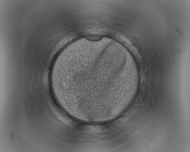 X0000110940250200907101252