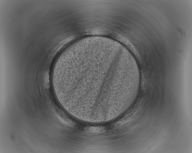 X0000110940251200907101252