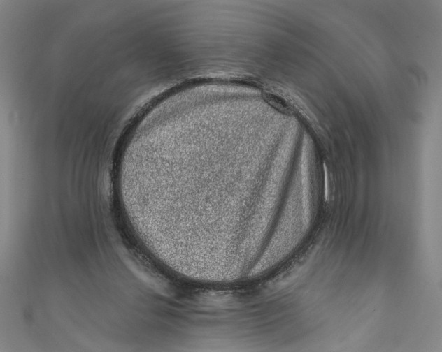 X0000110940252200907101252