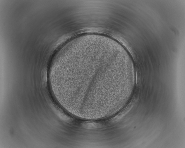 X0000110940253200907101252