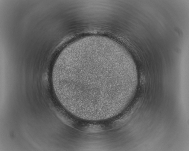 X0000110940256200907101252