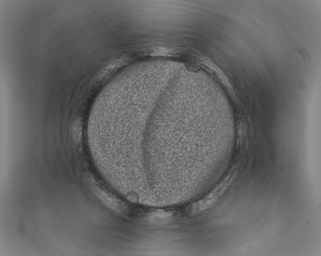X0000110940257200907101252