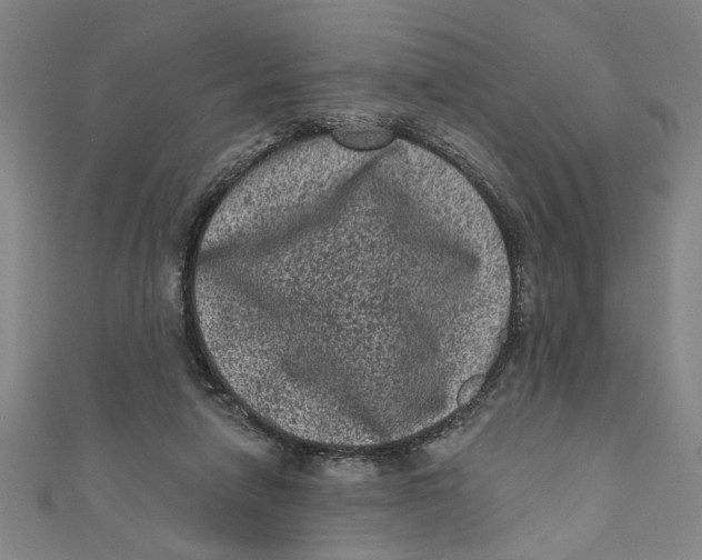 X0000110940258200907101252
