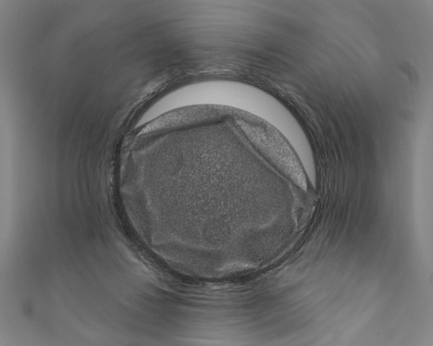 X0000110940260200907101252
