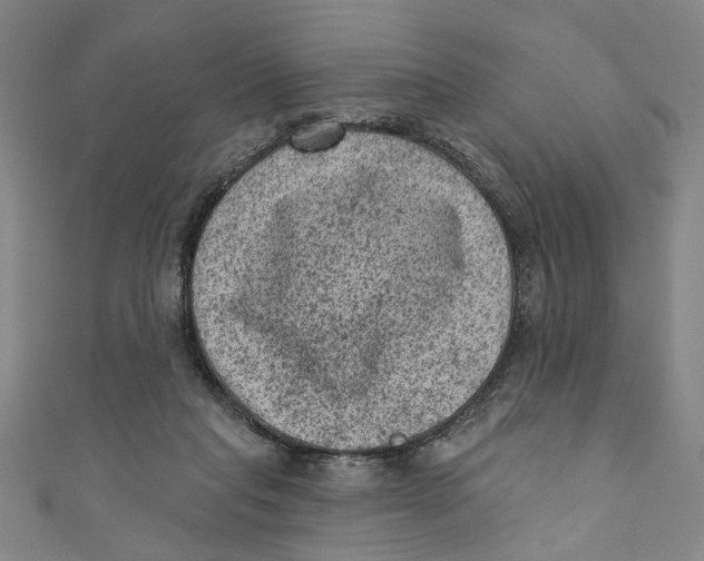 X0000110940261200907101252