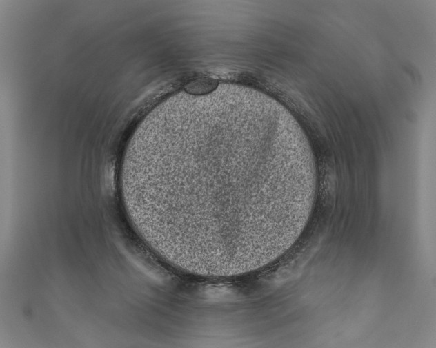 X0000110940262200907101253