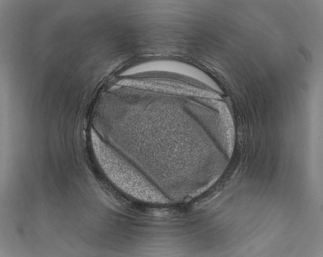 X0000110940264200907101253