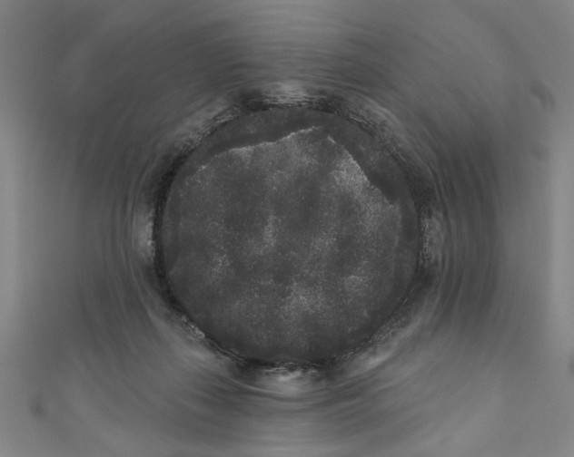 X0000110940267200907101253