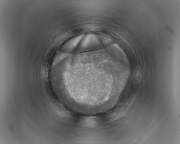 X0000110940268200907101253