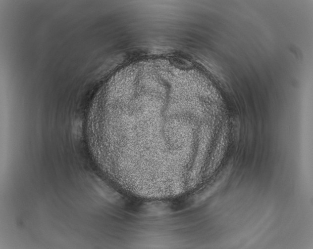 X0000110940269200907101253