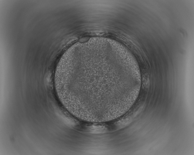 X0000110940270200907101253