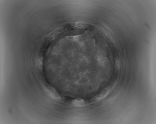X0000110940271200907101253