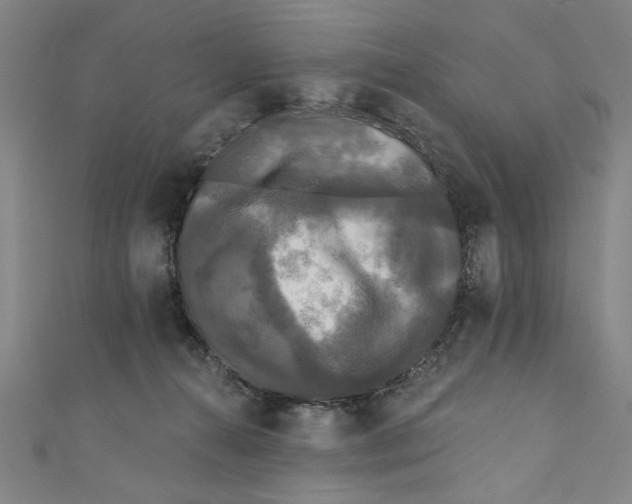 X0000110940272200907101253
