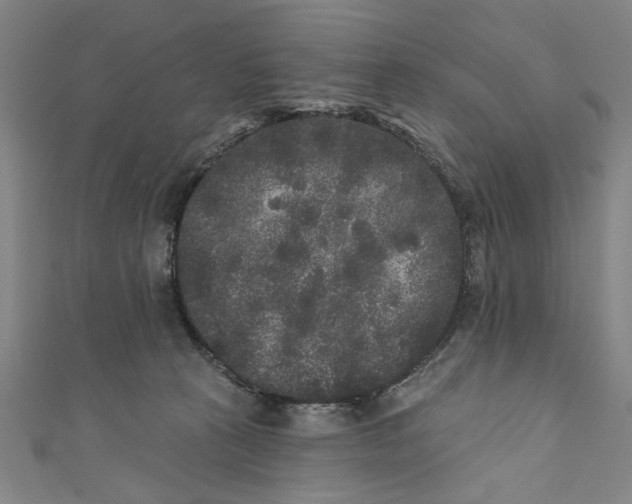 X0000110940273200907101253