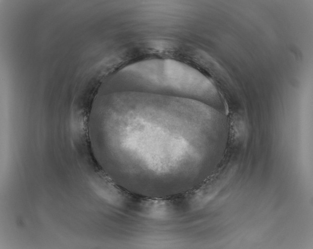 X0000110940276200907101253