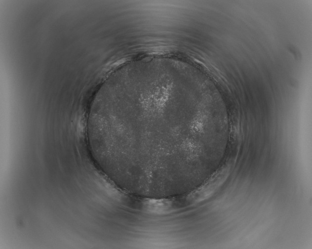 X0000110940277200907101253