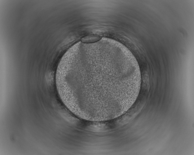 X0000110940278200907101253