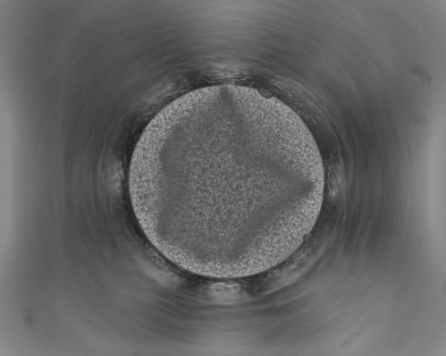 X0000110940279200907101253