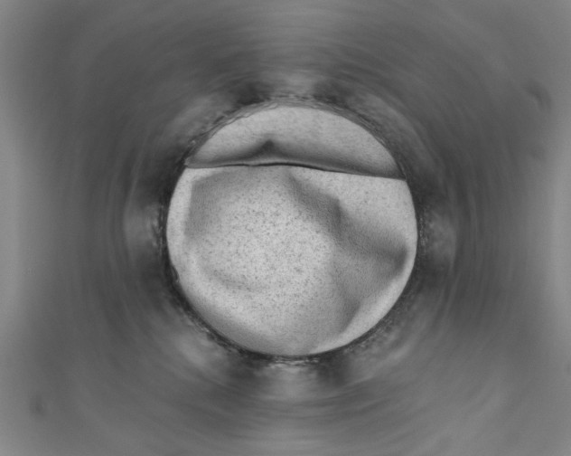 X0000110940280200907101253