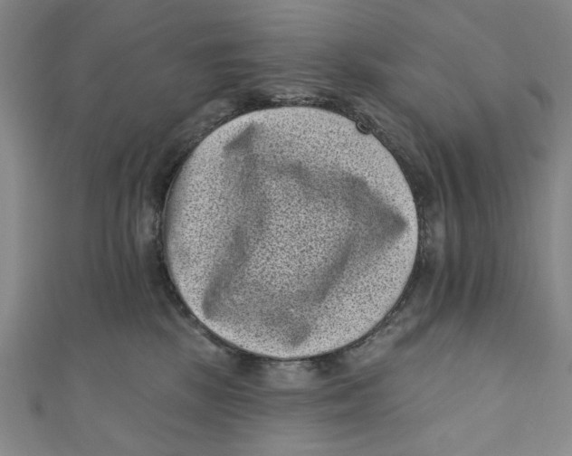 X0000110940281200907101253
