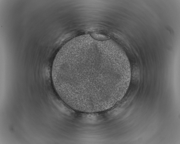 X0000110940282200907101253