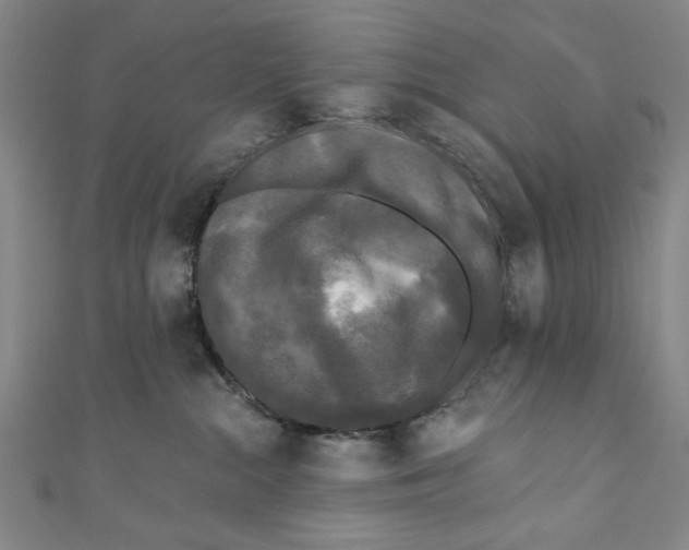 X0000110940284200907101253