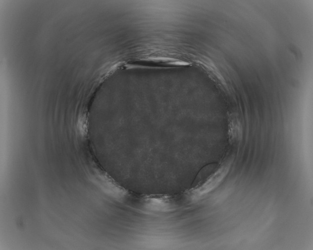 X0000110940285200907101253