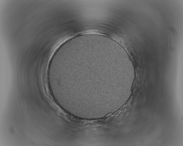 X0000110940289200907101252