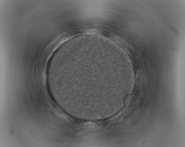 X0000110940290200907101252