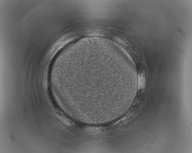 X0000110940291200907101252