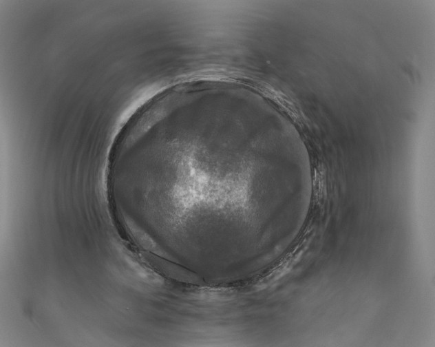 X0000110940292200907101252