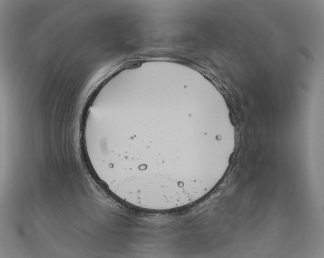 X0000110940293200907101252