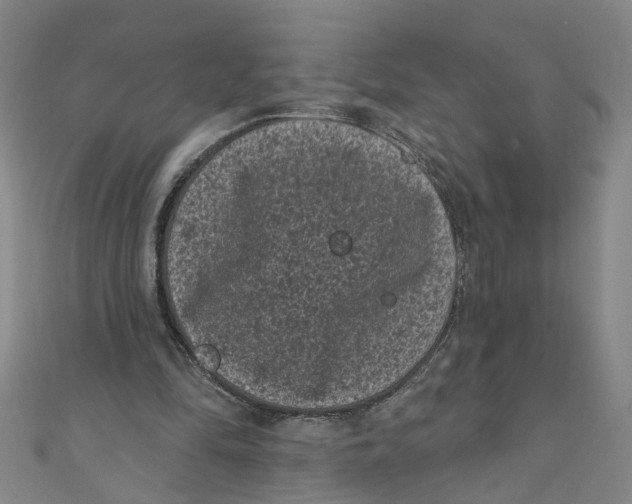 X0000110940294200907101252