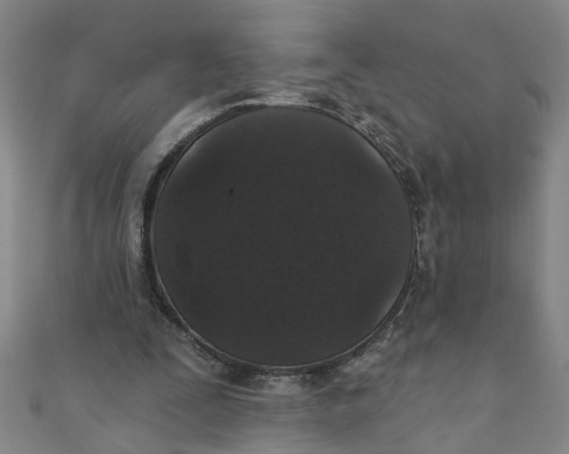 X0000110940295200907101252