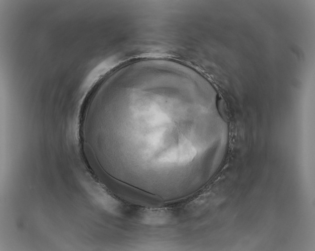 X0000110940296200907101252