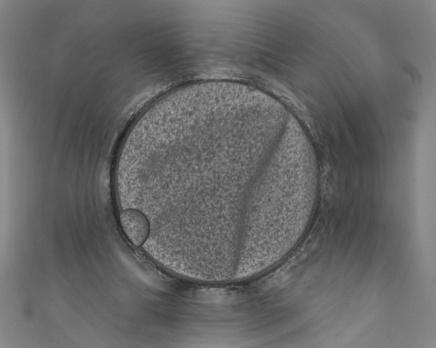 X0000110940298200907101252