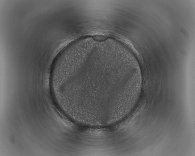 X0000110940299200907101252