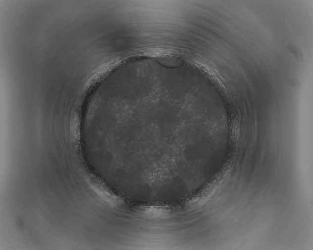 X0000110940303200907101252