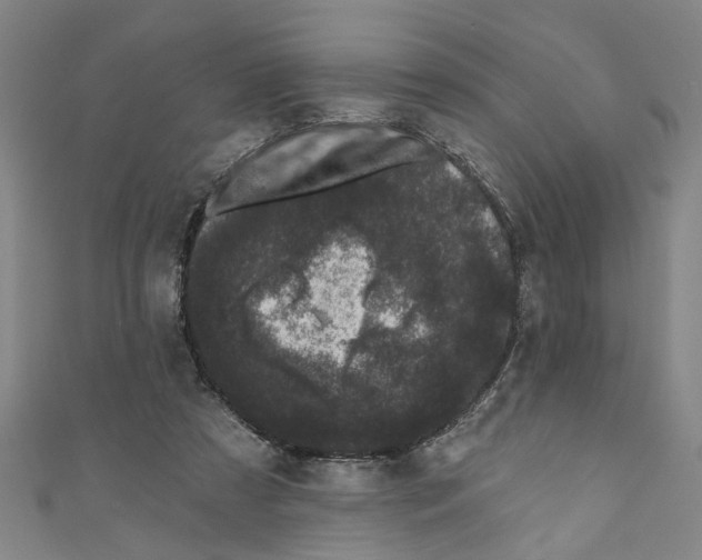 X0000110940305200907101252
