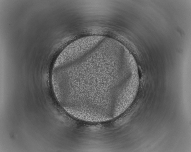 X0000110940306200907101252