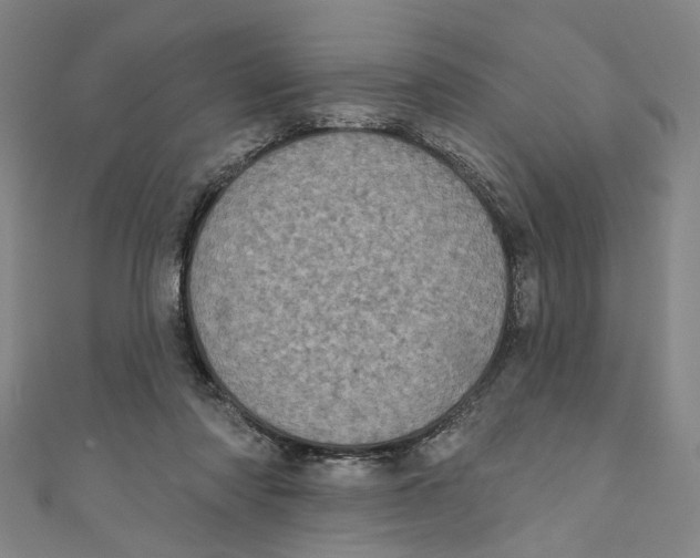 X0000110940310200907101252